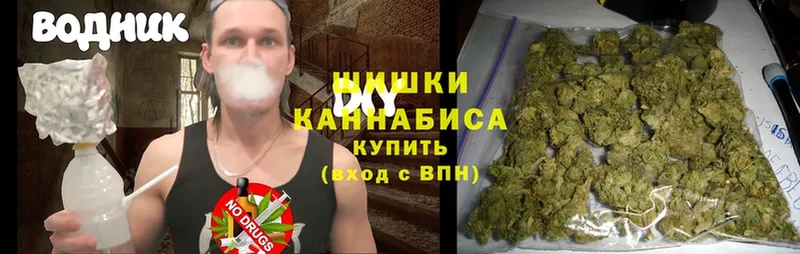 МАРИХУАНА Bruce Banner  Заполярный 